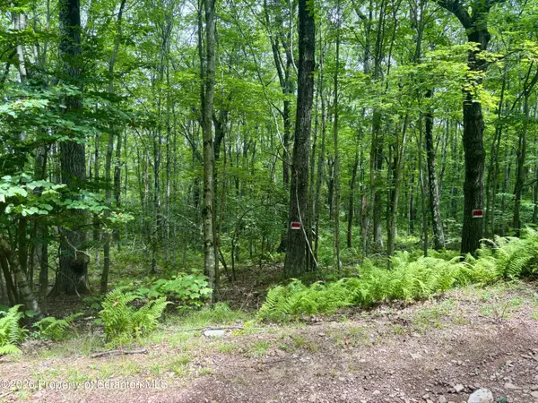Forest LN, Archbald, PA 18403
