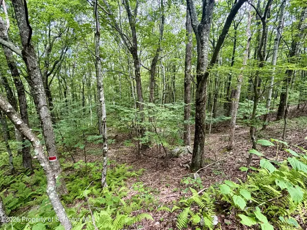 Forest LN, Archbald, PA 18403