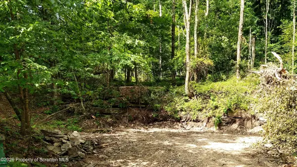 1013 Stearns RD, New Milford, PA 18834