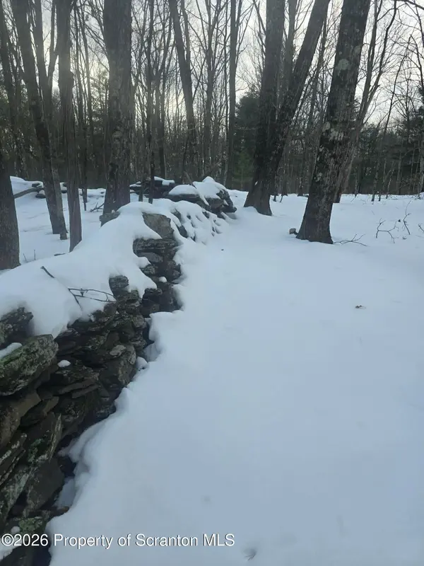 1013 Stearns RD, New Milford, PA 18834