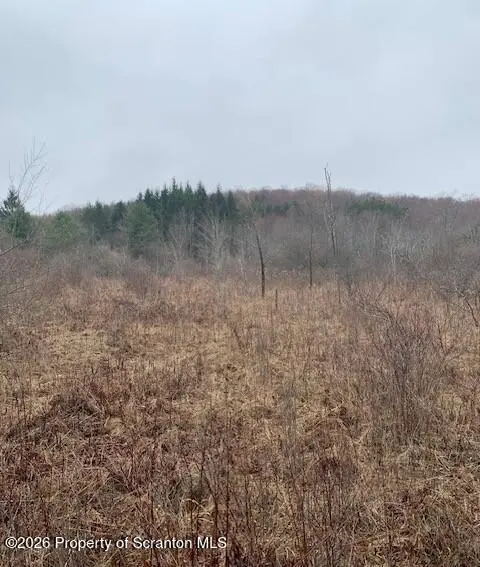 Jackson Valley Road, Little Meadows, PA 18830