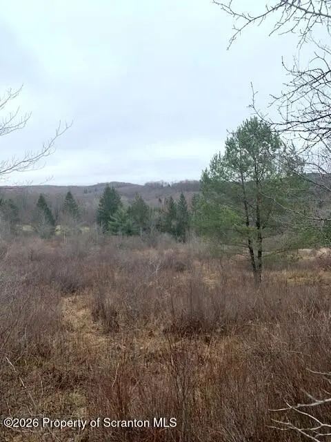 Jackson Valley Road,  Little Meadows,  PA 18830