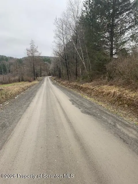 Jackson Valley Road, Little Meadows, PA 18830