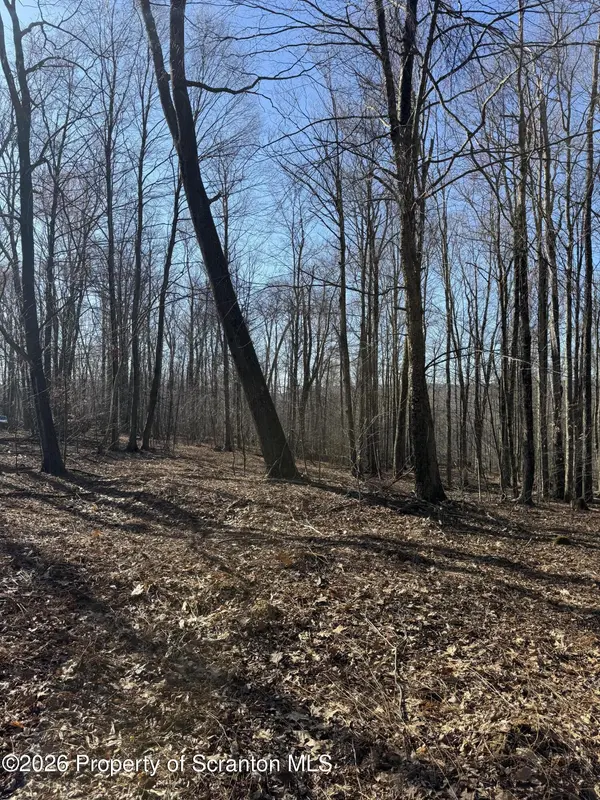 Ash Gap RD, Spring Brook Twp, PA 18444