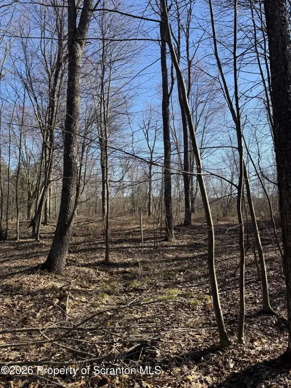 Ash Gap RD, Spring Brook Twp, PA 18444