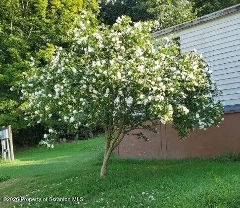 5642 Mislevy RD, Factoryville, PA 18419