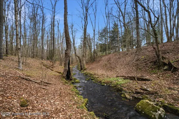 1140 Ball Pond RD, Thompson, PA 18465