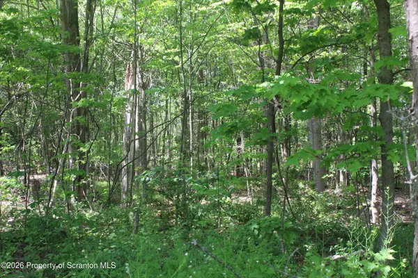 Bailor, Covington Twp, PA 18444