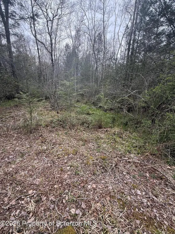 502  REAR, Covington Twp, PA 18444