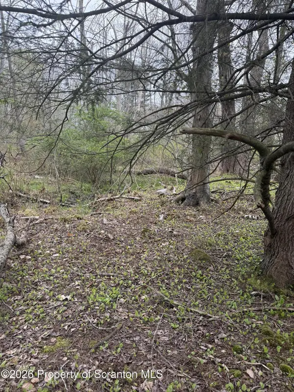 502  REAR, Covington Twp, PA 18444
