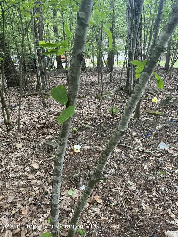 Glowatch LN, Tunkhannock, PA 18657