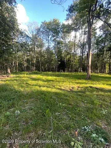 Bentler RD, Clifton Twp, PA 18424