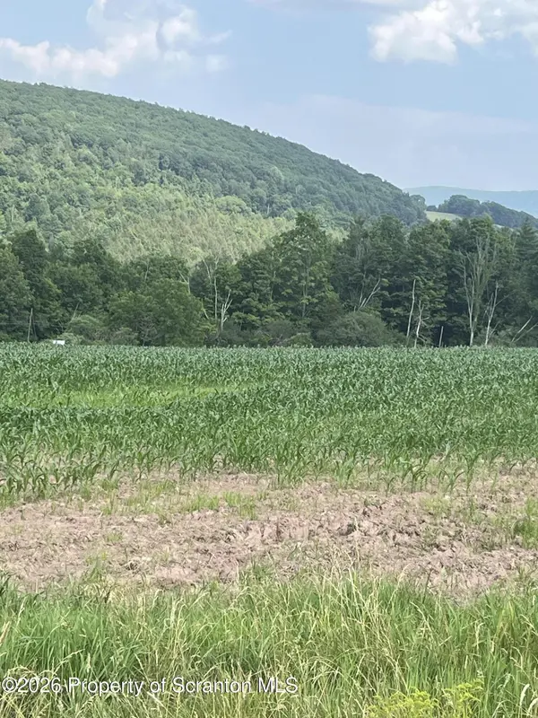 250 Fire Works LN, Forkston, PA 18629