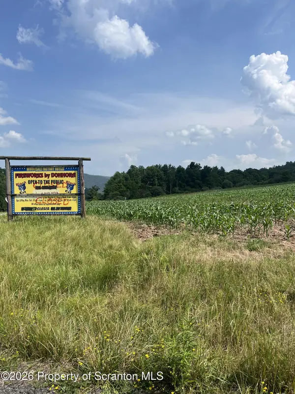 250 Fire Works LN, Forkston, PA 18629