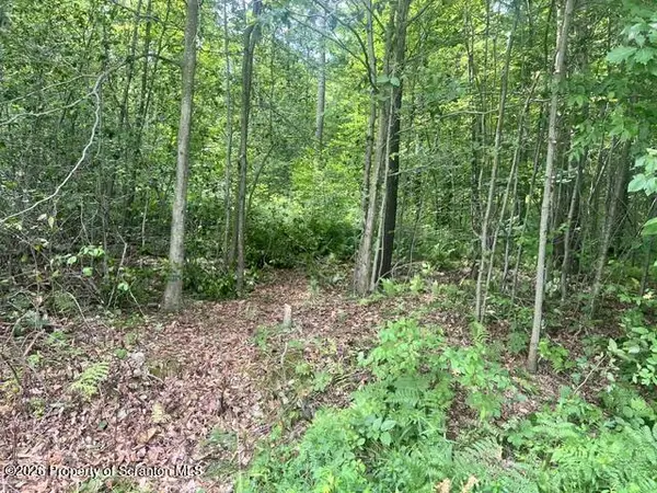 840 Maplewood (1.43 Acre lot) RD, Lake Ariel, PA 18436