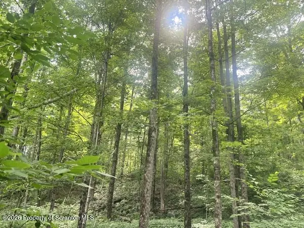 840 Maplewood (1.43 Acre lot) RD, Lake Ariel, PA 18436