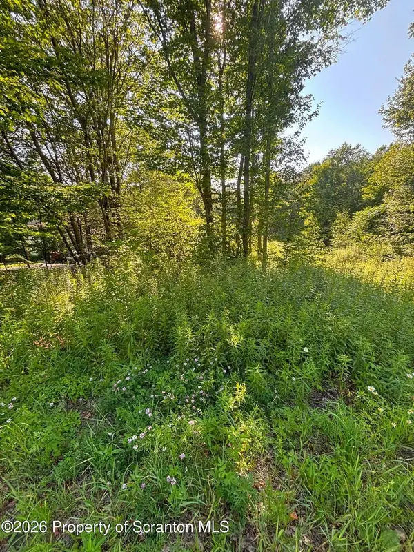 745 Marion ST, Forest City, PA 18421