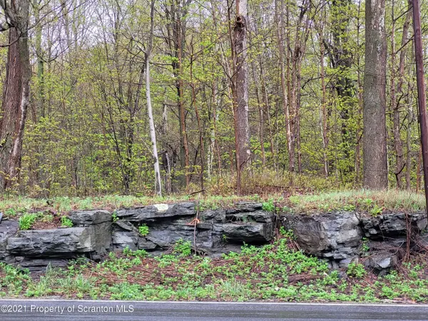 Lot 2 & 3 Scranton Pocono HWY, Covington Twp, PA 18444