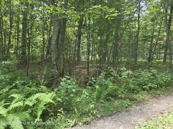 Lot 2 & 3 Scranton Pocono HWY, Covington Twp, PA 18444