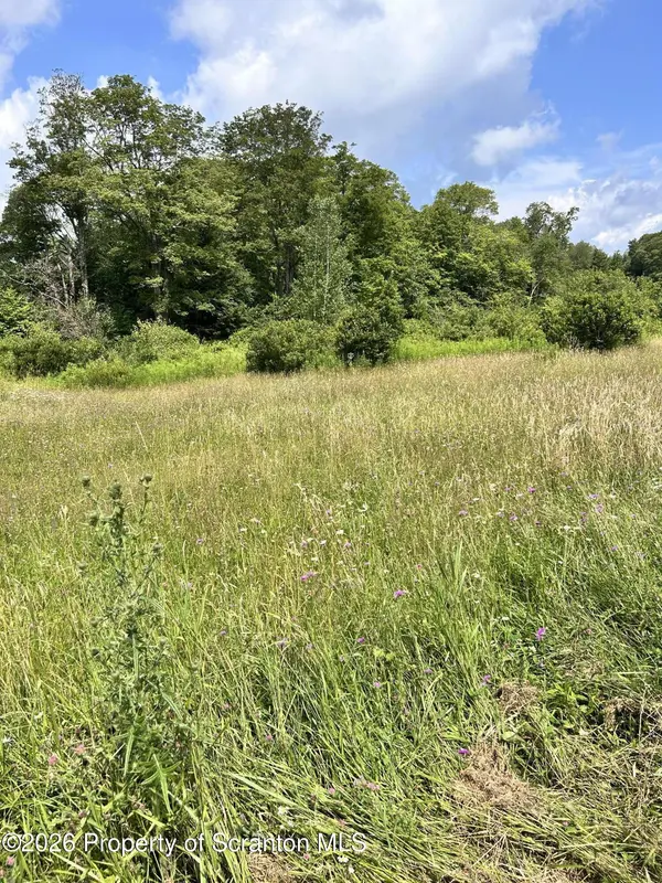 65 Ross Hill RD, Thompson, PA 18465