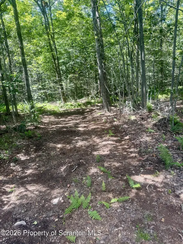 White Rock DR, Forest City, PA 18421