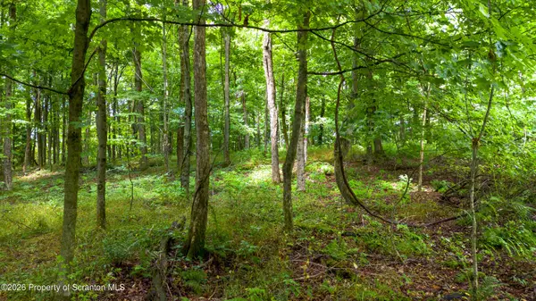 Cor St Highway To Finch H, Scott Twp, PA 18433