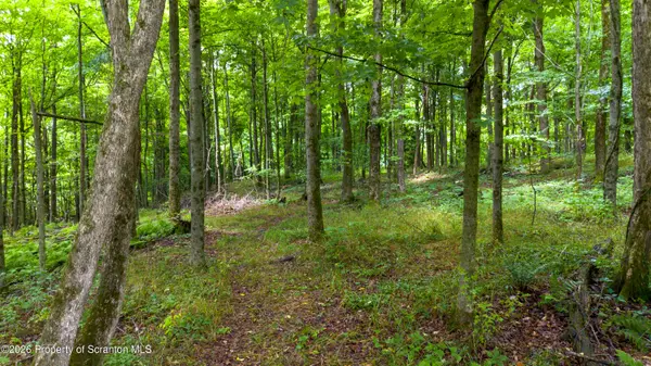Cor St Highway To Finch H, Scott Twp, PA 18433