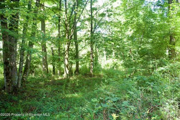 2000 Belcher RD, Union Dale, PA 18470