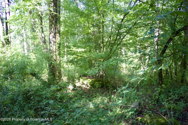 2000 Belcher RD, Union Dale, PA 18470