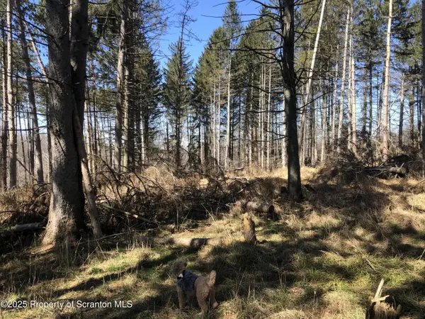 634 Lily Lake Road, Lot 3, Waverly, PA 18471