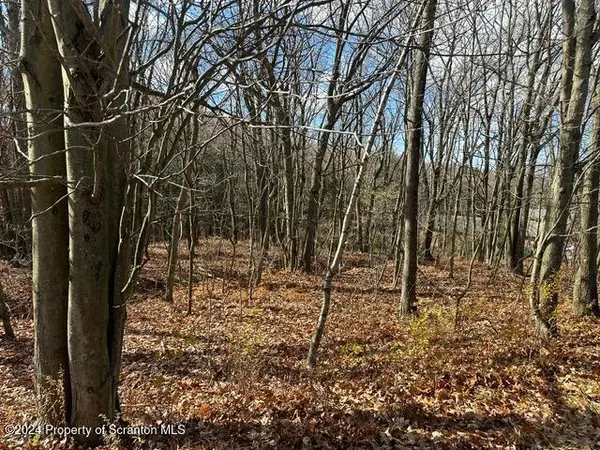 Archbald Mt RD, Jefferson Twp, PA 18436