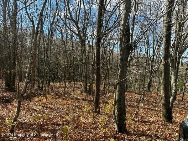 Archbald Mt RD, Jefferson Twp, PA 18436