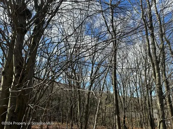 Archbald Mt RD, Jefferson Twp, PA 18436