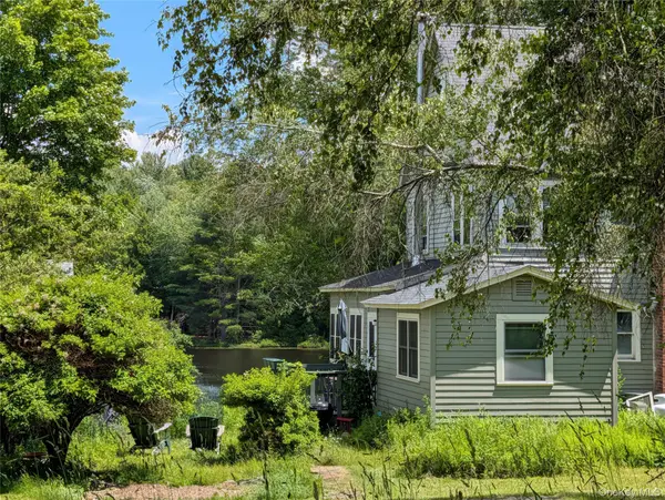 00 Gold Dan RD #c, Swan Lake, NY 12783