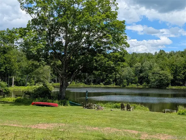 00 Gold Dan RD #c, Swan Lake, NY 12783