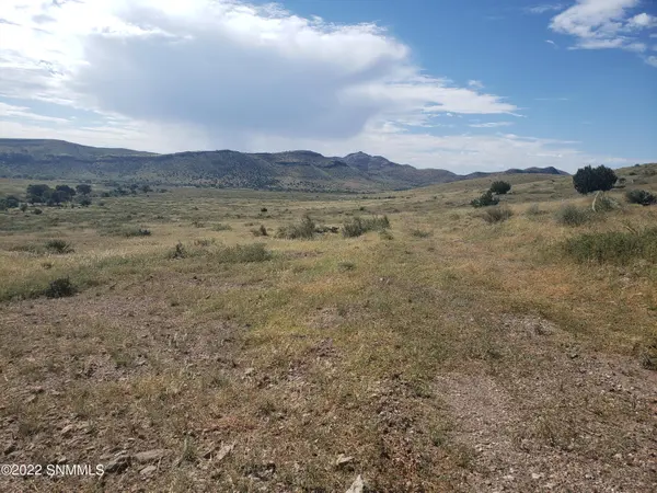 #4 Nana TRL, Hillsboro, NM 88042