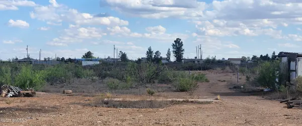 431 - 433 E Lisa DR, Chaparral, NM 88081