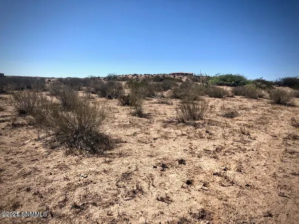260 Spirit Hill DR, Anthony, NM 88008