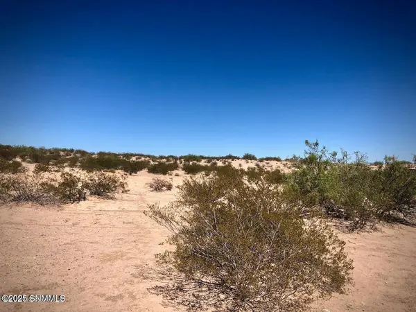 260 Spirit Hill DR, Anthony, NM 88008