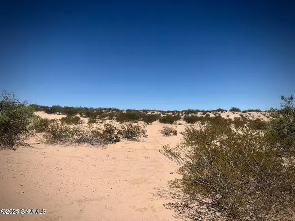 260 Spirit Hill DR, Anthony, NM 88008