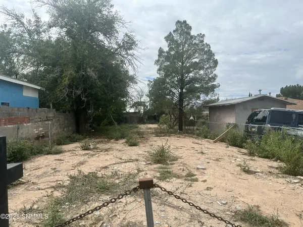 819 N Tornillo, Las Cruces, NM 88001