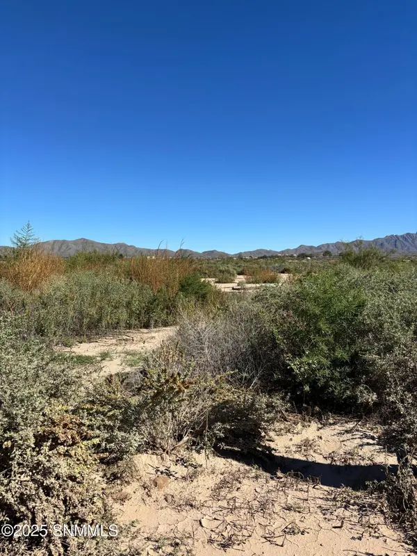 TBD Venadito, Anthony, NM 88021