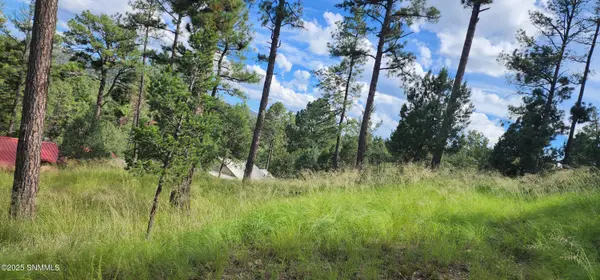 213 3Rd ST, Ruidoso, NM 88345