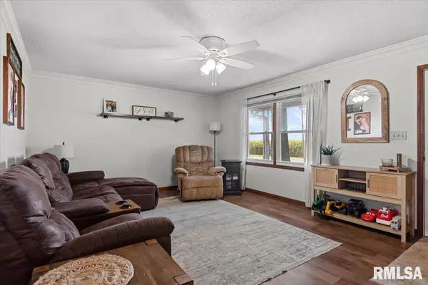 703 E HOLDEN ST, Virden, IL 62690