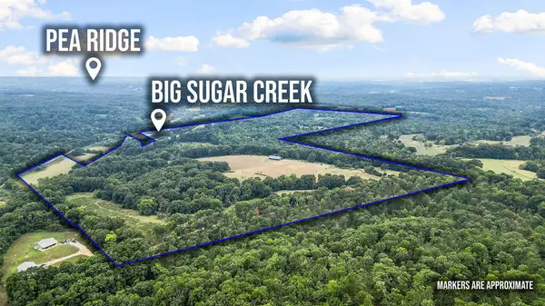 4365 Farm Road 2290, Seligman, MO 65745