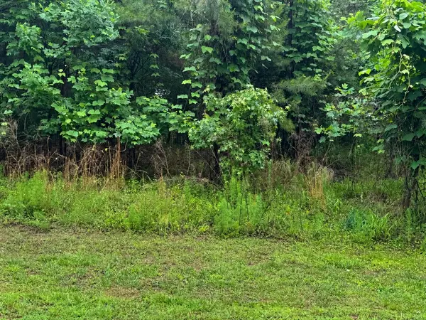 Lot 82A2 Safety Harbor RD, West Union, SC 29696