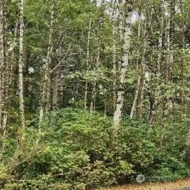12 Chabot RD, Copalis Beach, WA 98535