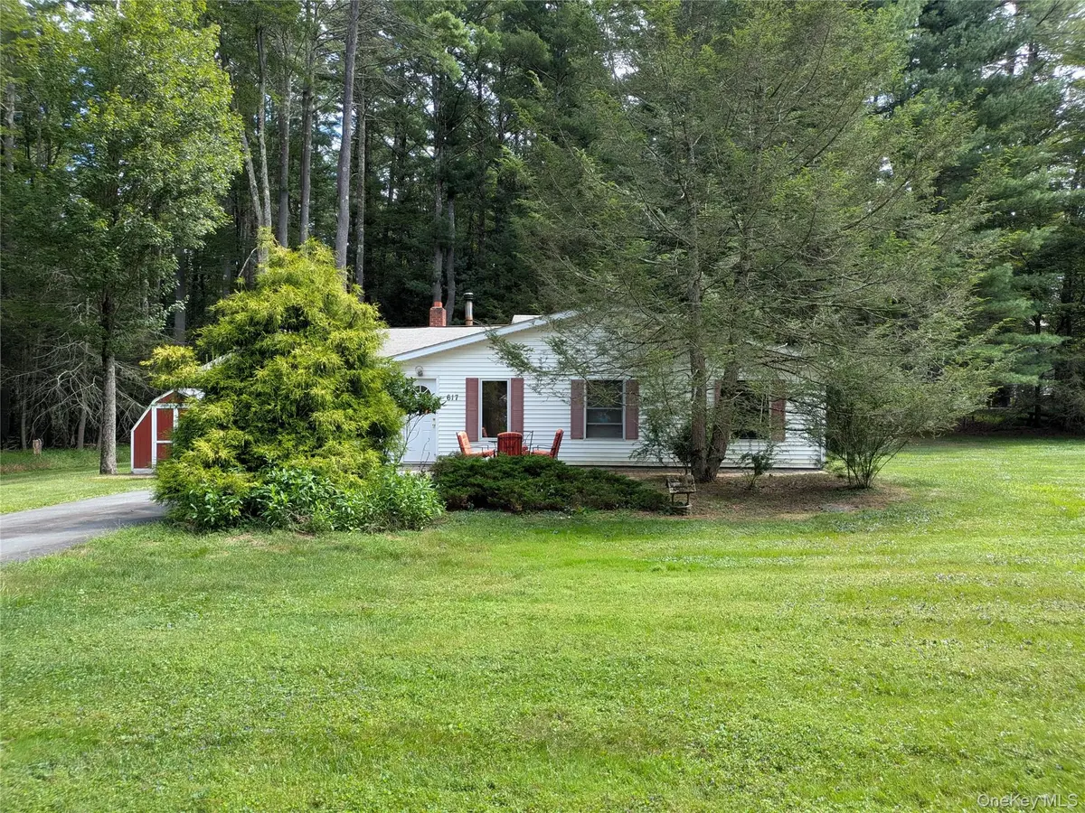 617 Katrina Falls RD, Rock Hill, NY 12775