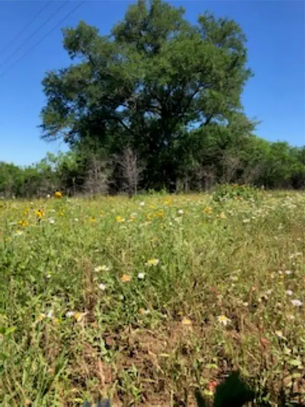 569 TBD Burdette Wells RD, Lockhart, TX 78644