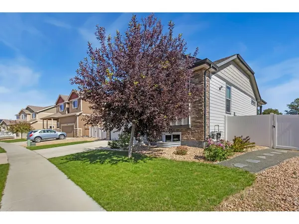 1512 Lake Vista, Severance, CO 80550